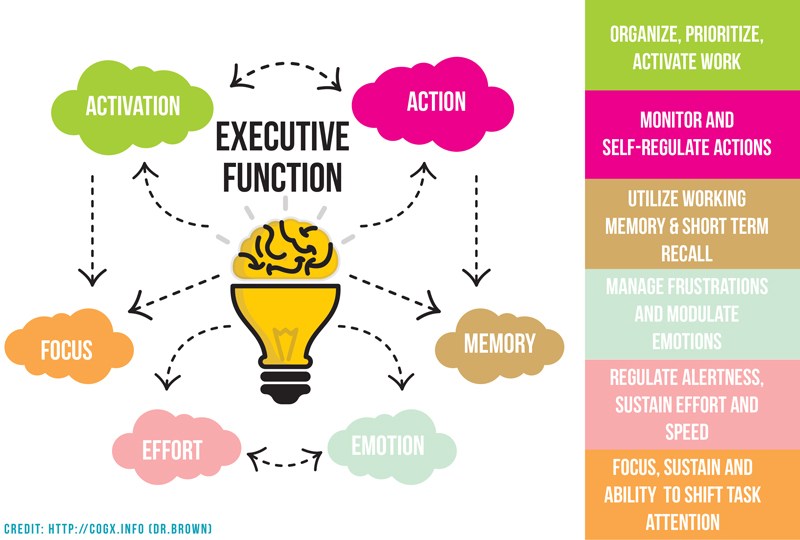 An infographic shows executive function at the center, with related skills like activation, action, memory, emotion, effort, and focus connected around a lightbulb.