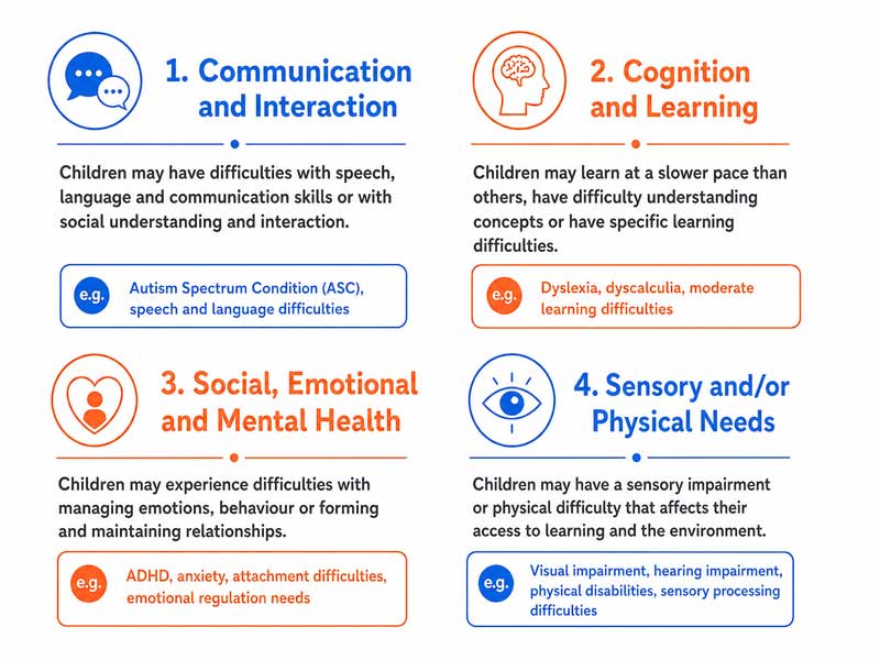 An infographic shows four areas of additional needs: communication and interaction, cognition and learning, social, emotional and mental health, and sensory and/or physical needs.