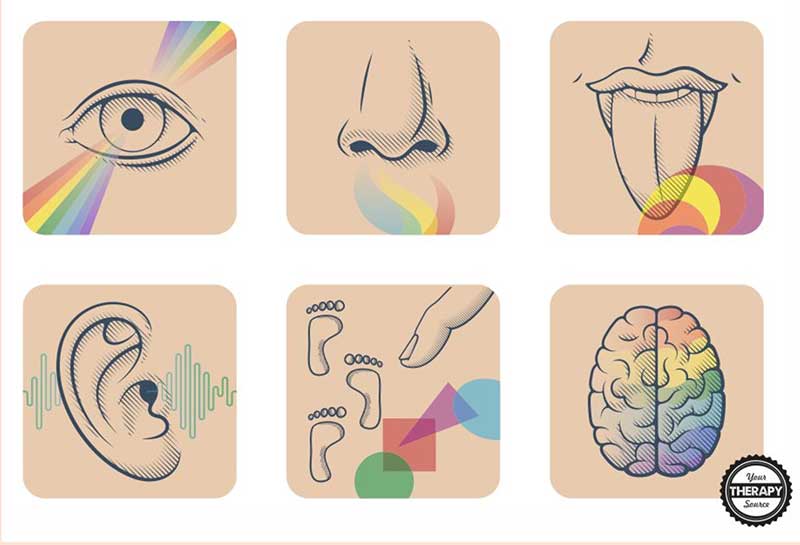 A set of six illustrated icons representing the brain, eyes, nose, tongue, ear, and touch, with rainbow accents suggesting sensory processing