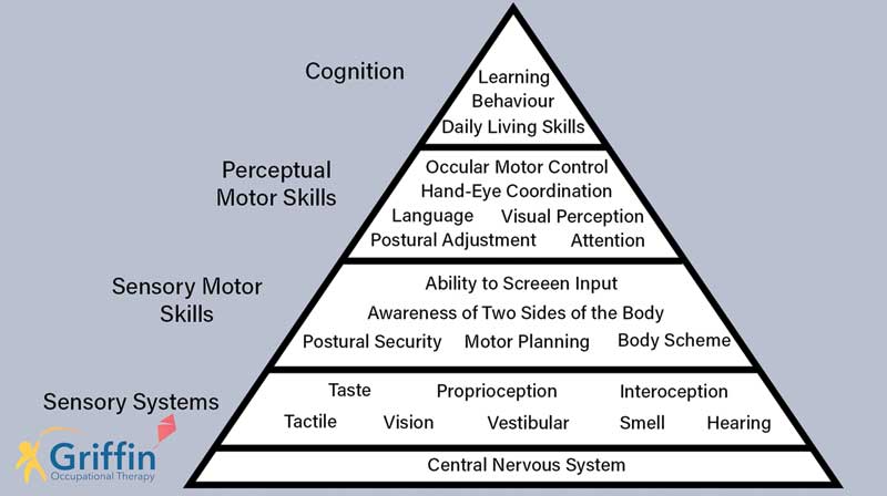 A pyramid diagram shows how sensory systems support sensory-motor, perceptual-motor, and cognition skills, leading up to learning, behaviour, and daily living skills