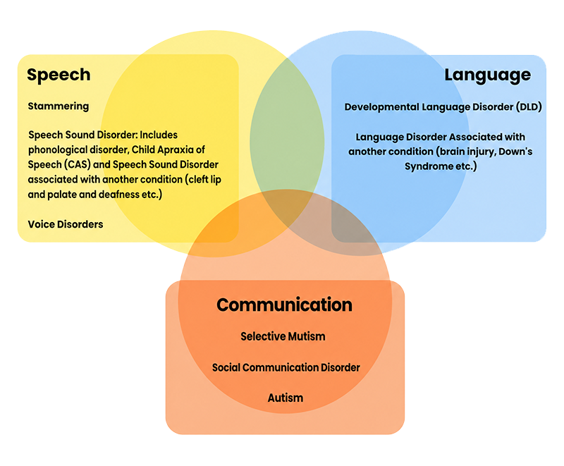 A Venn diagram illustrates the intersections between speech, language, and communication disorders, listing specific conditions like stammering, DLD, and autism within their respective or overlapping categories.
