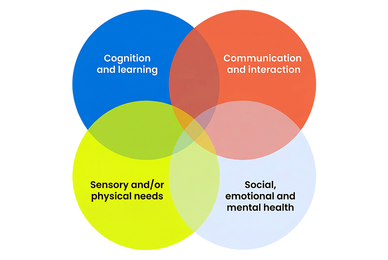 Venn diagram of the four broad areas of SEN