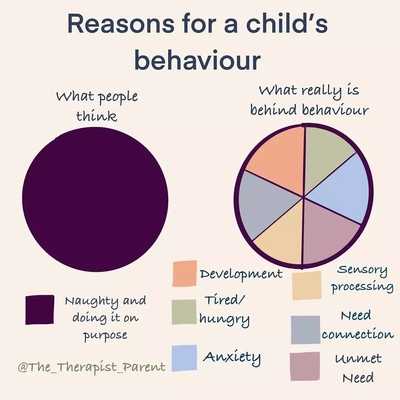 Pie charts showing reasons for a child's behaviour